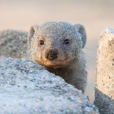 Namibie © Guillaume Pasche